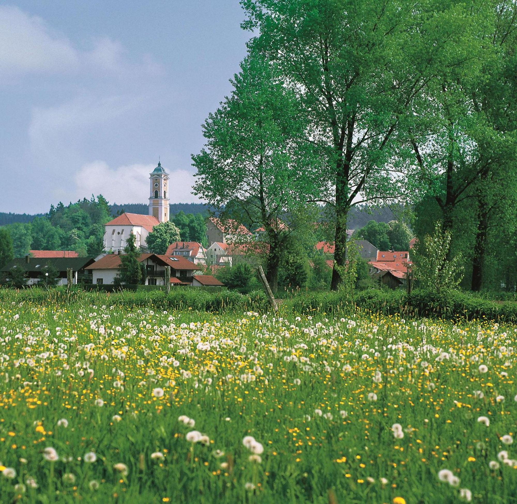 Best Western Aparthotel Birnbachhoehe Bad Birnbach Exteriér fotografie